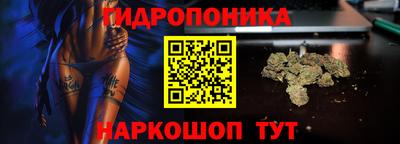 гашик Ирбит