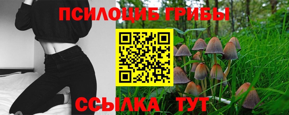 Галлюциногенные грибы ЛСД  Вход с VPN  Кыштым 